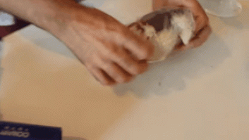 Truco para que un plátano negro vuelva a ser amarillo: con arroz y un secador