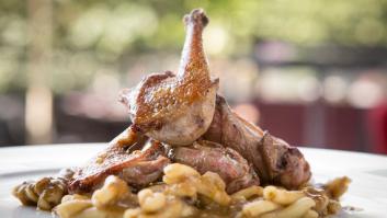 El pichón, el cocinero, la naturaleza y el paladar