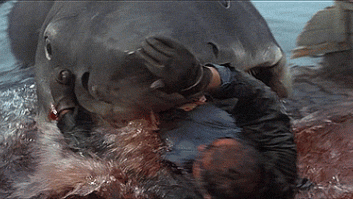 40 años de 'Tiburón': 15 curiosidades de la película de Spielberg