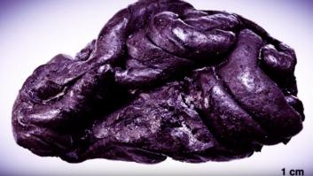 Un 'chicle' de hace 5700 años revela el ADN de su consumidora