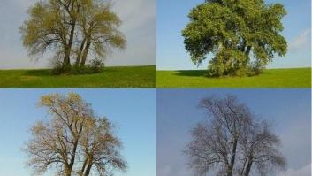 El invierno enfría tus genes, el verano los calienta