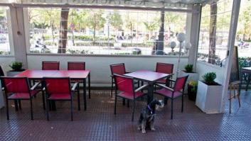 Fumadores y nudistas, patronos inesperados de los canes