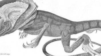 Kingii, el flotador de pulsera que salva vidas