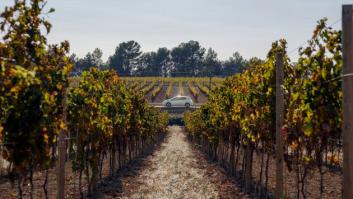 La ruta sobre ruedas por los viñedos de Cataluña y otras iniciativas de transporte eléctrico en Europa