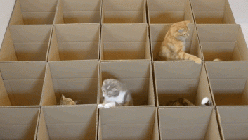 Siete fases que atravesarás cada vez que hagas una mudanza (GIFS)