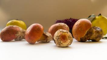 Abran paso a la reina, la amanita de los césares