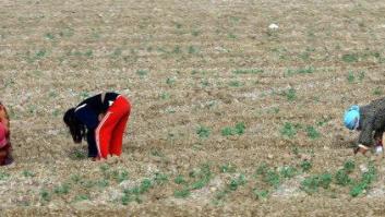 Lanchas inflables y perforaciones: los refugiados climáticos que llegan