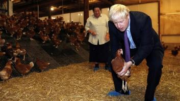 Al Brexit se le atraganta el pollo