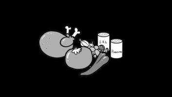 Los cocineros y el equilibrio