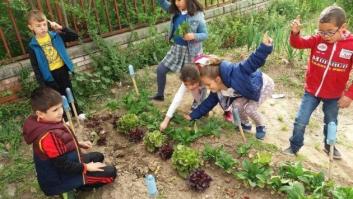 ¡Chicos, mañana construiremos un aspirador de insectos!