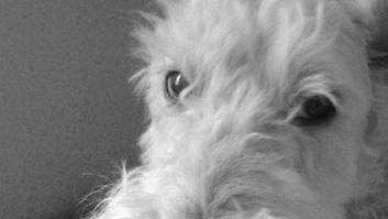 Como si la vida empezara por el postre