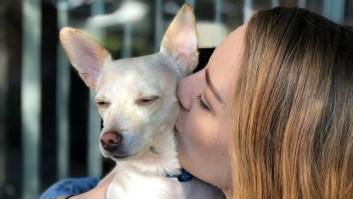 24 fotos que captan la felicidad de los perros al encontrar a su familia definitiva