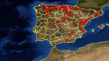 'Un monstruo viene a verme' (en forma de tejo): 20 datos sobre el árbol de la película de Bayona