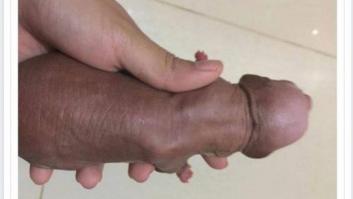 La foto de un cachorro que Facebook no quiere que veas