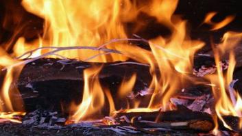 Error de la semana: ¿insultar es bueno para reducir el estrés?