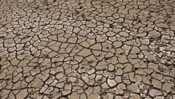Siete datos que demuestran cómo se ha agravado la crisis climática esta década