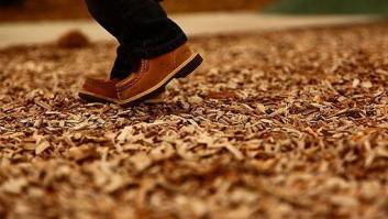 ¿Hijos? ¡No, gracias!