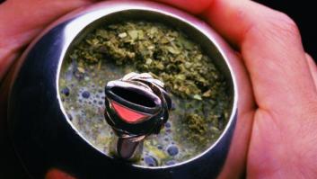 ¿Quieres bajar de peso? Entonces, toma mate