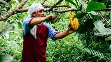 La historia detrás del cacao de tu crema hidratante