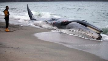 Podemos... matar a la izquierda