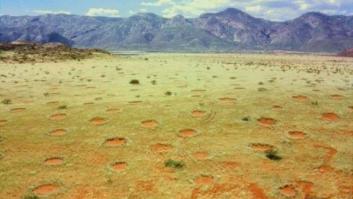 Los misteriosos anillos de hadas aparecen también en Australia (FOTOS)