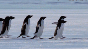 Tiempo: Un temporal de nieve y frío hiela la Península