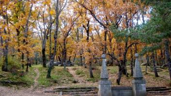 Siete lugares cerca de Madrid para escaparte al campo