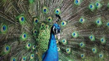 Cuando el mundo no es tan maravilloso