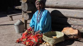 Quince millones de historias de 'Méxicos'