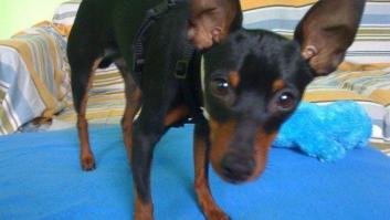 Una declaración de amor