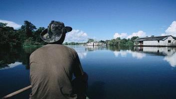 ¿Estamos ante la muerte de la Amazonia?