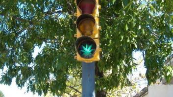 Marihuana + conducir = muerte