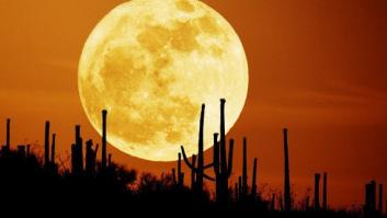 Perseidas contra superluna: la batalla estelar de esta noche (FOTOS)