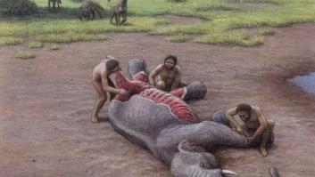 Un cementerio de elefantes junto al 'spa' del pleistoceno en Granada (FOTOS)