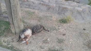 Salvemos el Parque de la Alhóndiga (Getafe)