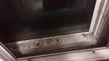 Bomberos, una caca y una ventana: lo PEOR que podía ocurrir en una cita de Tinder