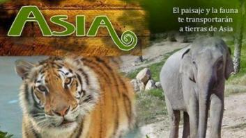 Muere una cuidadora al ser atacada por un tigre en el parque Terra Natura (Benidorm)