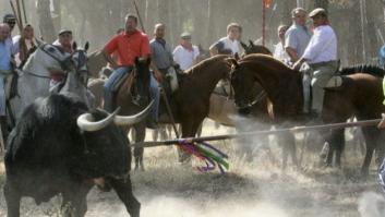 Estas son las alternativas que se plantea Tordesillas al Toro de la Vega