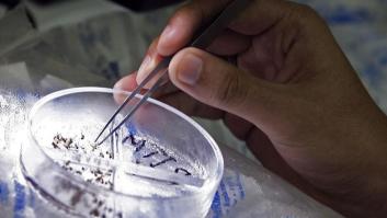 Detectado en Madrid el primer caso de transmisión sexual del dengue en Europa