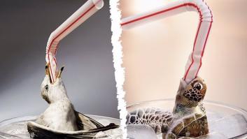 El Gobierno limitará los plásticos de un solo uso con la futura Ley de Residuos