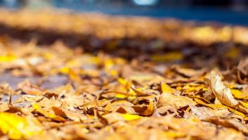 Más allá de un verano muy caluroso: cómo será el otoño que nos espera