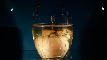 El corazón embalsamado de un rey portugués viaja a Brasil envuelto en polémica