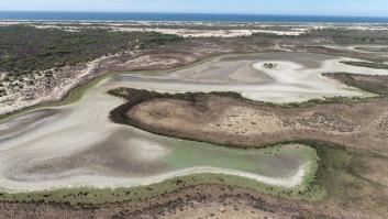 El CSIC alerta de que la laguna permanente más grande de Doñana se ha secado por primera vez desde 1995