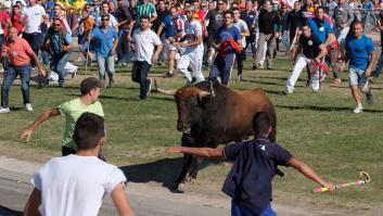 La Fiscalía no ve delito de maltrato animal en el torneo del Toro de la Vega