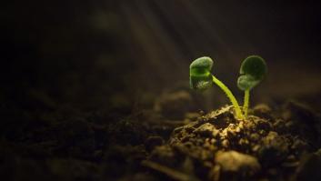 El nacimiento de 'Metapolis'