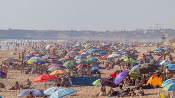 Un investigador del CSIC: "Comienza el primer fin de semana de siembra masiva de virus"