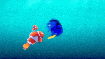 Buscar a Dory puede poner en riesgo al pez cirujano azul