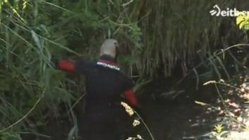 Hallados una cabeza humana, una sierra, un mazo y un cable alrededor del río Zadorra