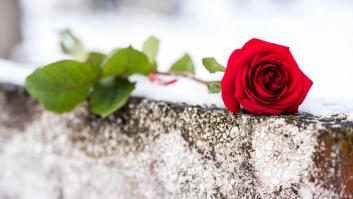 Lo que susurran las flores del cementerio