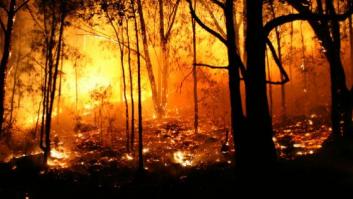 Lo que el fuego se llevó: estas son las consecuencias de un incendio